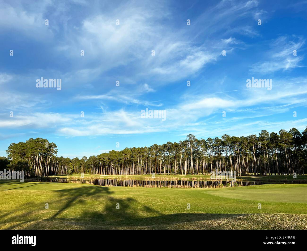 The golden hour at a Georgia State Park golf course, a popular golf destination in the southern United States. Stock Photo