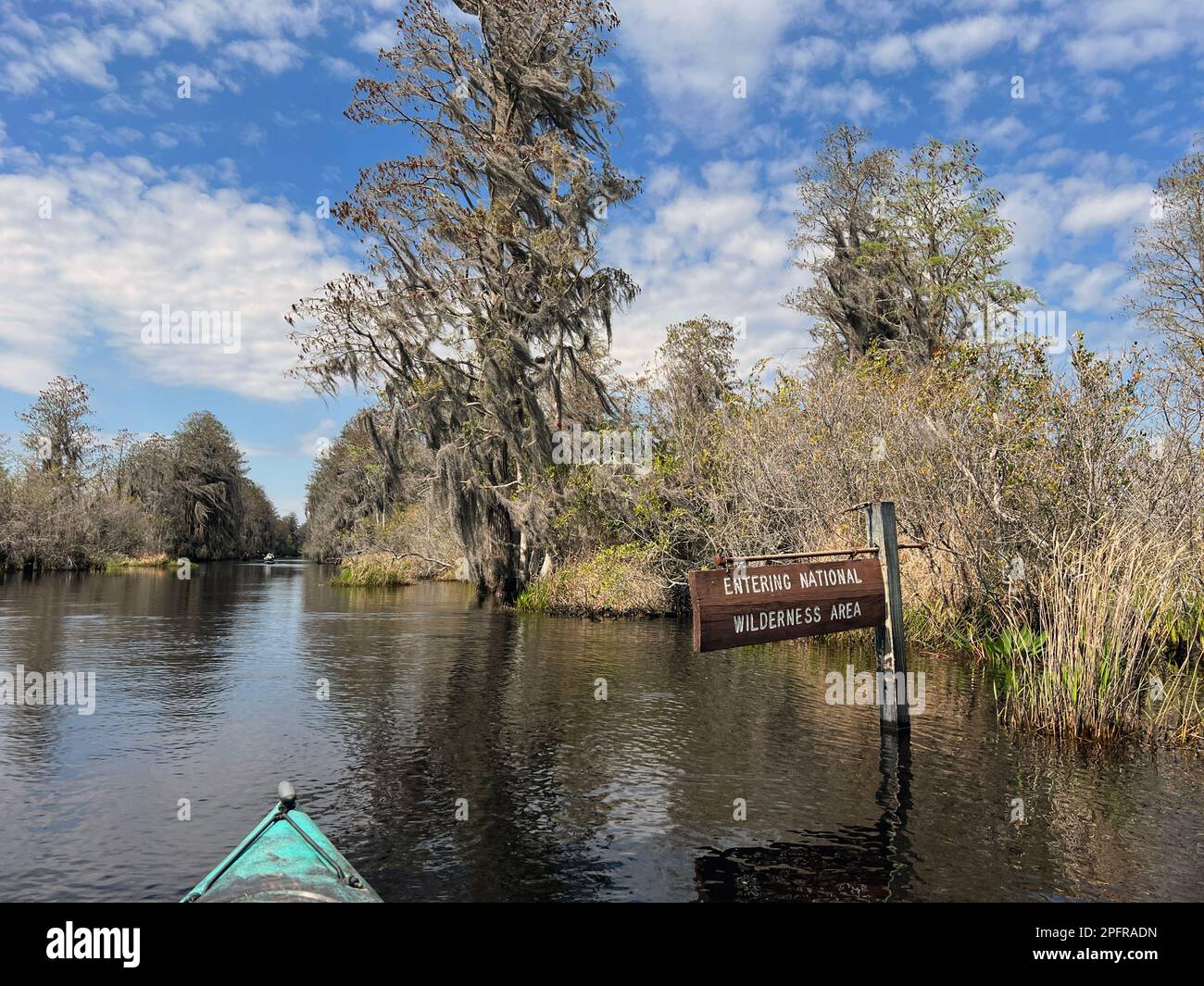 Kayaking marked trails in the Okefenokee National Wildlife Refuge, North America's largest blackwater swarm and home to diverse wildlife, including al. Stock Photo
