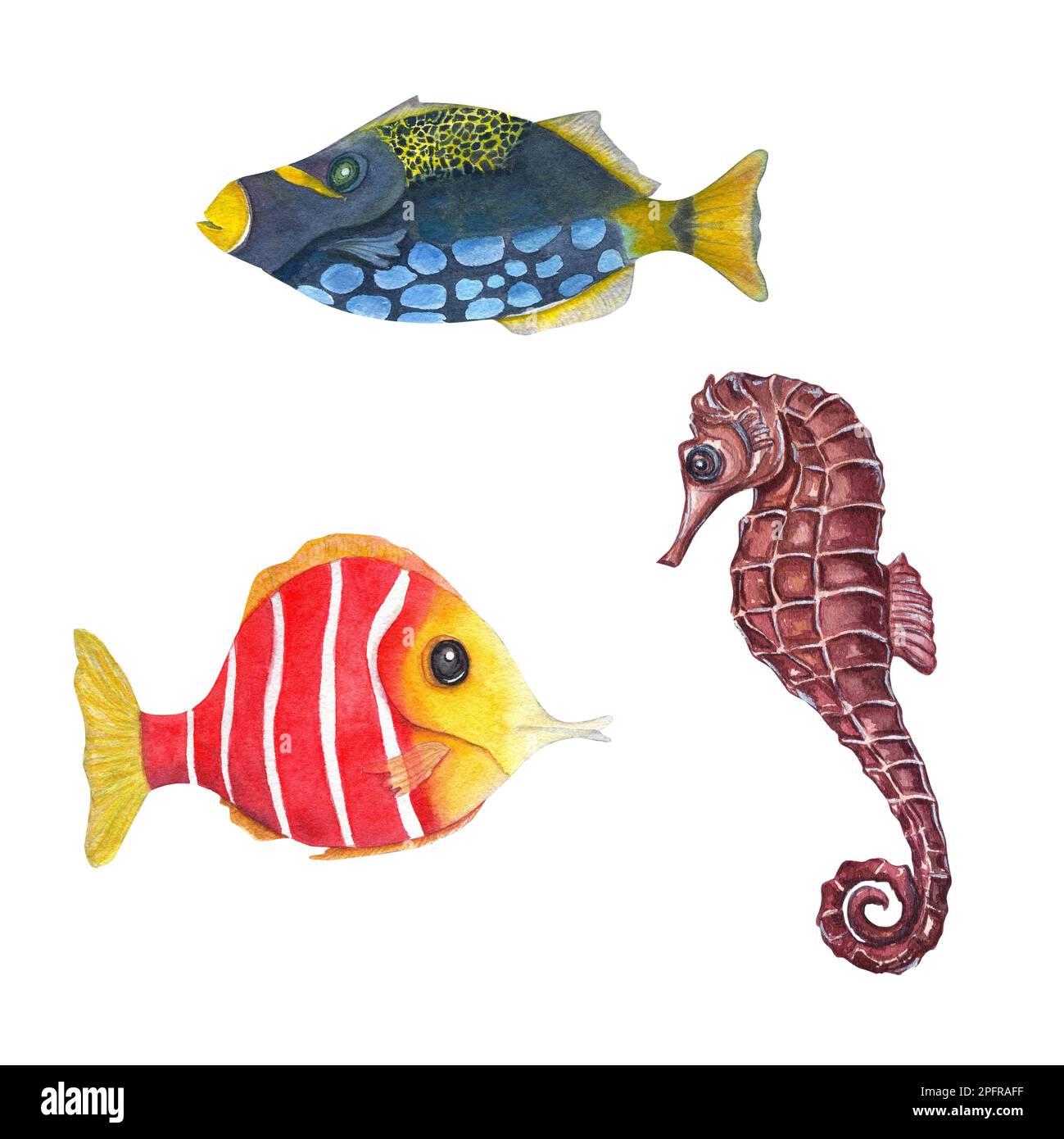 Watercolor illustration of a set of marine fauna isolated on white background. Seahorse, fishes in cartoon style. For kids room decor, kids print, pos Stock Photo