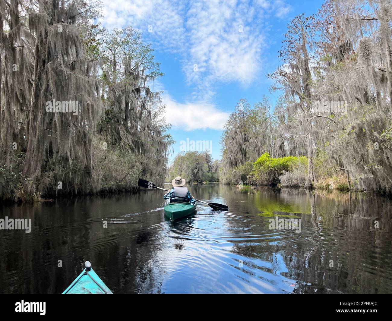An active senior couple paddles Okefenokee National Wildlife Refuge, North America's largest blackwater swamp and home to thousands of alligators. Stock Photo