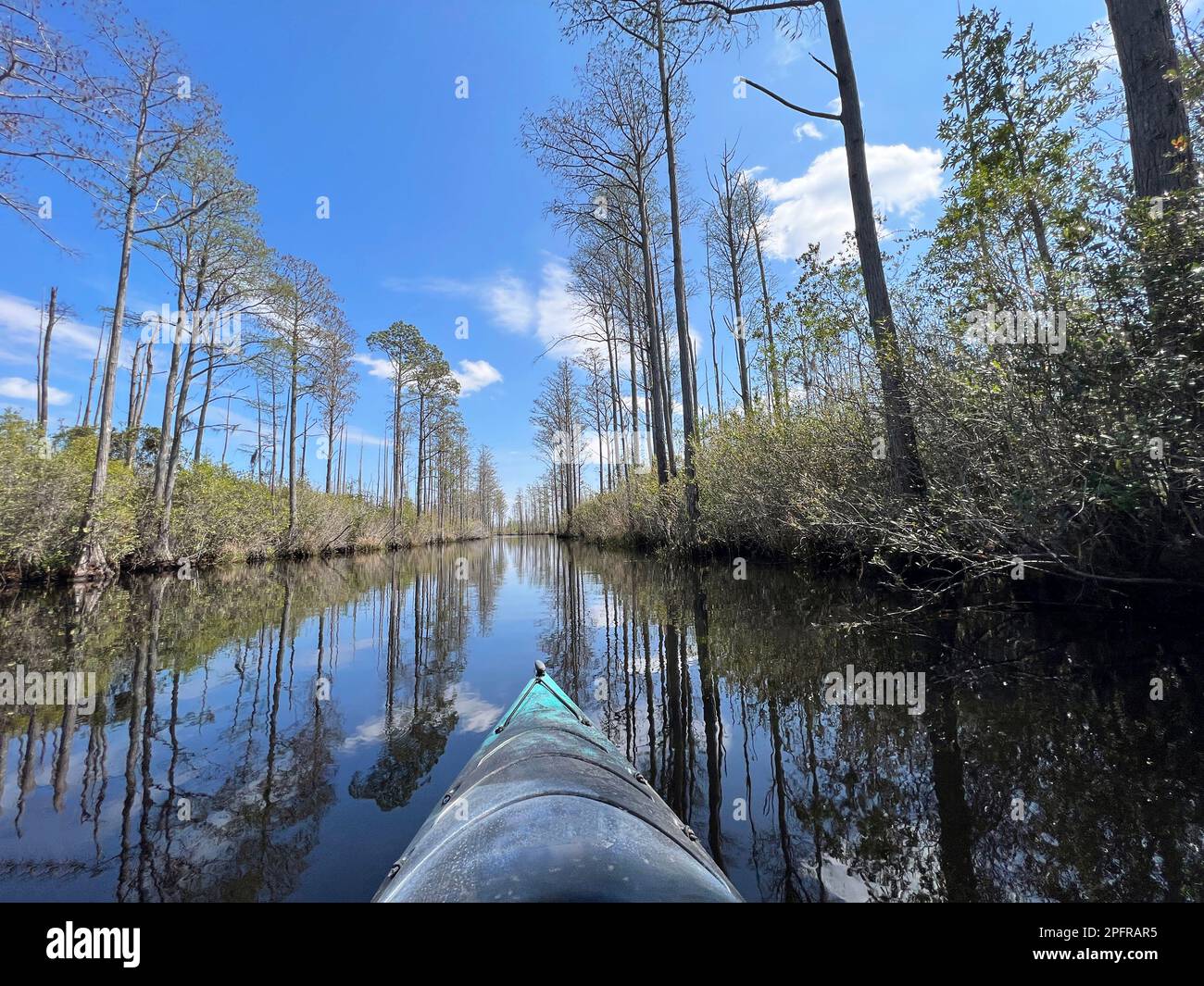 A kayaker enjoys the scenery in Okefenokee swamp, a National Wildlife Refuge straddling Florida and Georgia in the southern United States. Stock Photo