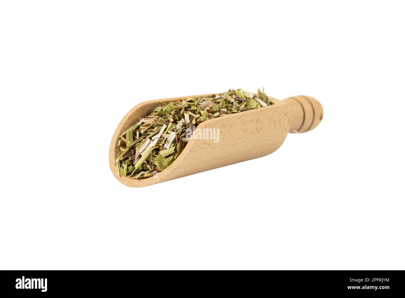 Catnip herb in latin Nepeta cataria in wooden scoop isolated on white