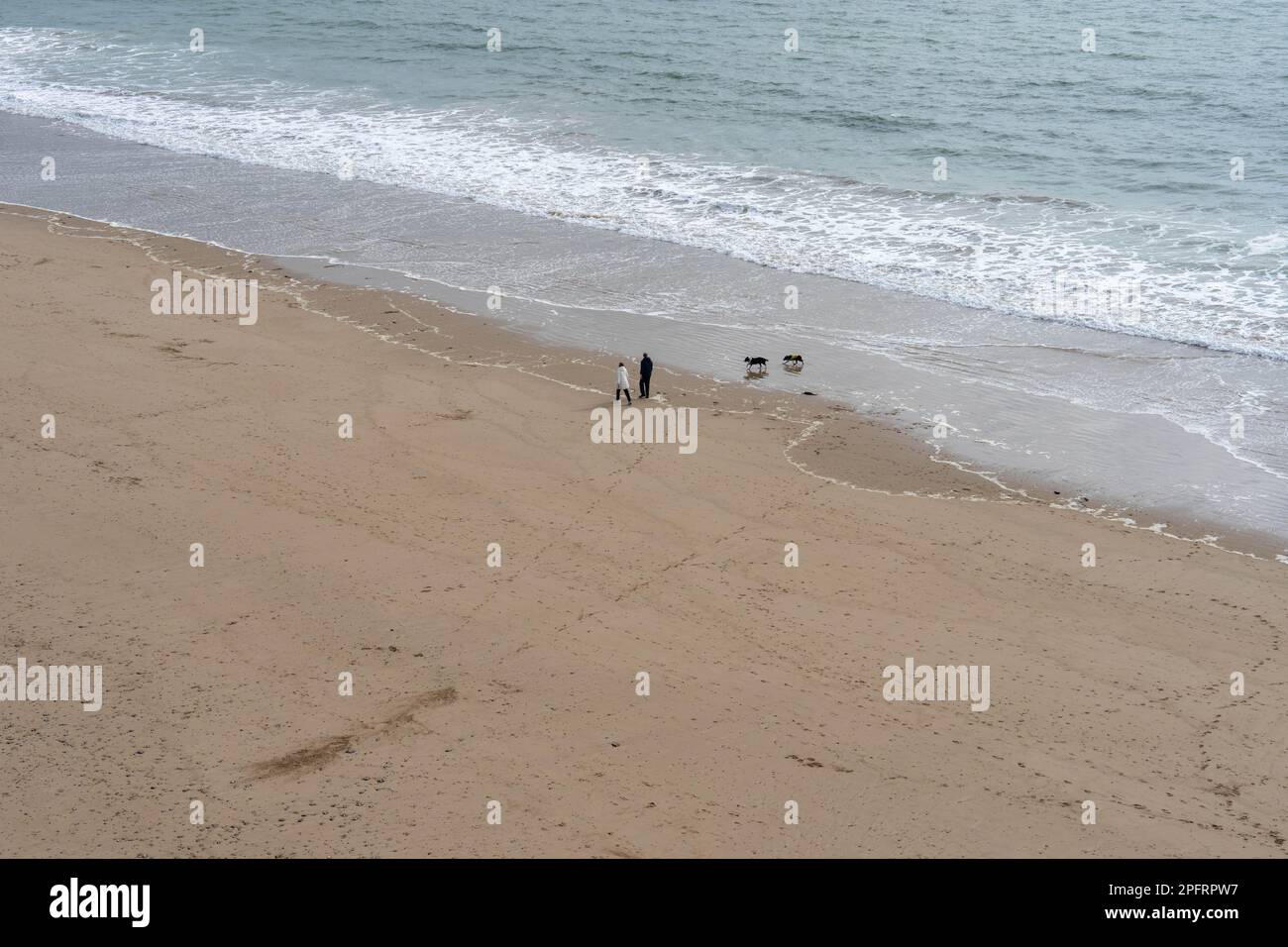 Couple walking their dogs along seashore Stock Photo