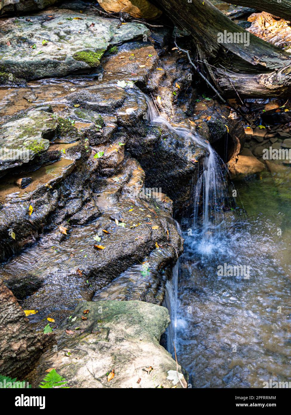 Nestled in the heart of Harrison Hills County Park in Natrona Heights, Pennsylvania, lies a tranquil haven for nature lovers. This picturesque scene c Stock Photo