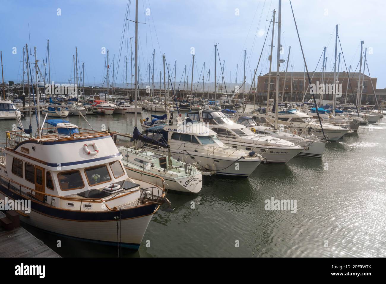 Yachts and boats moored in the harbour marina at Milford Haven Pembrokeshire Wales UK Stock Photo
