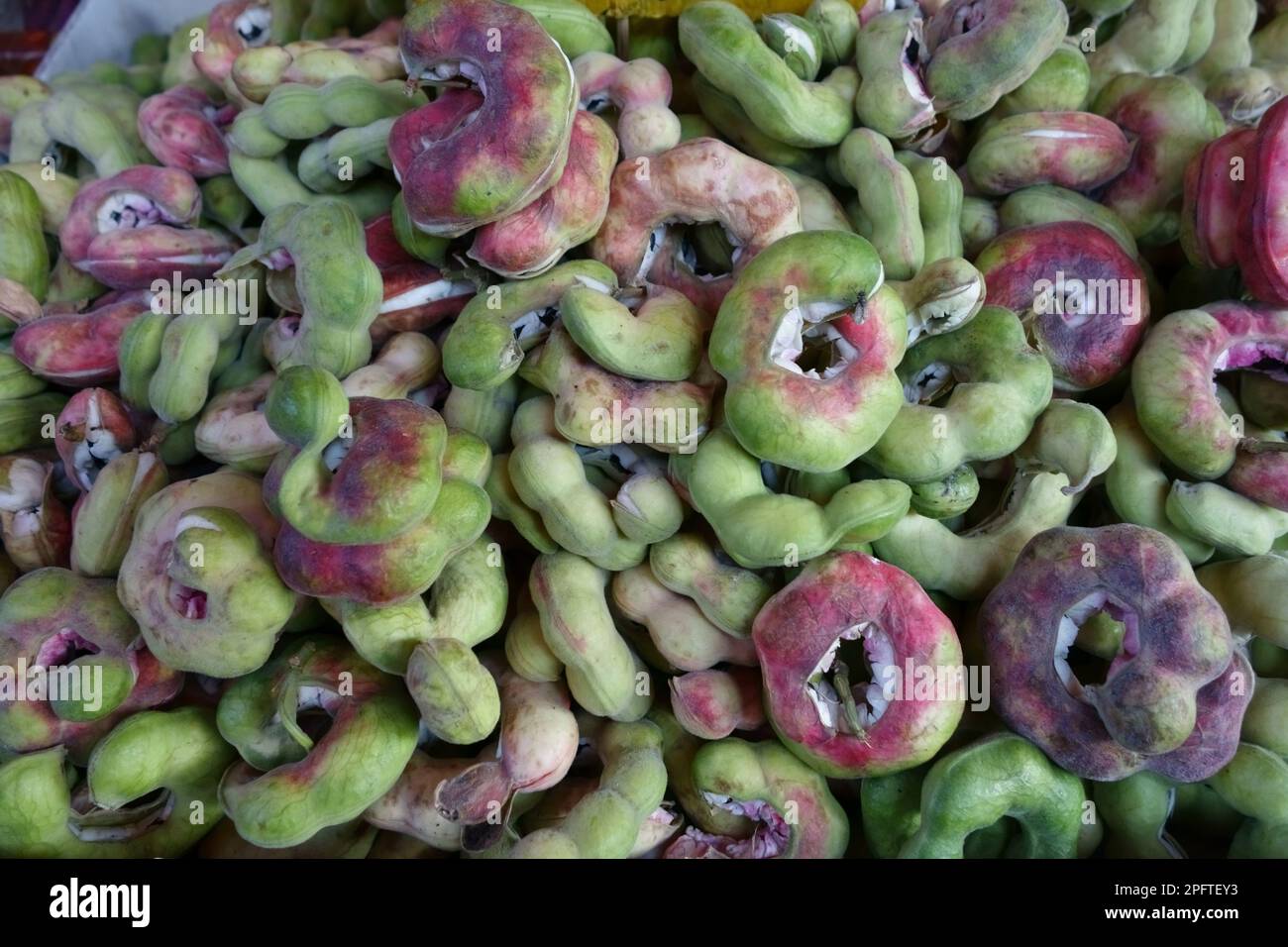 Manila tamarind, Pithecellobium dulce, seed pods for sale at the food market, Bangkok, Thailand Stock Photo
