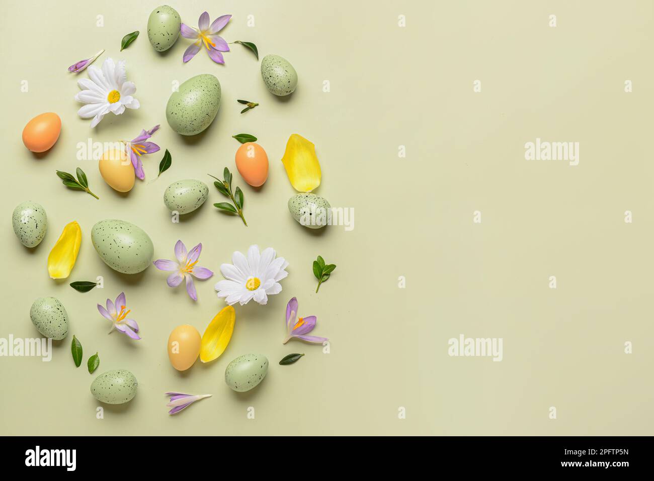Composition with Easter eggs, plant leaves and spring flowers on color ...