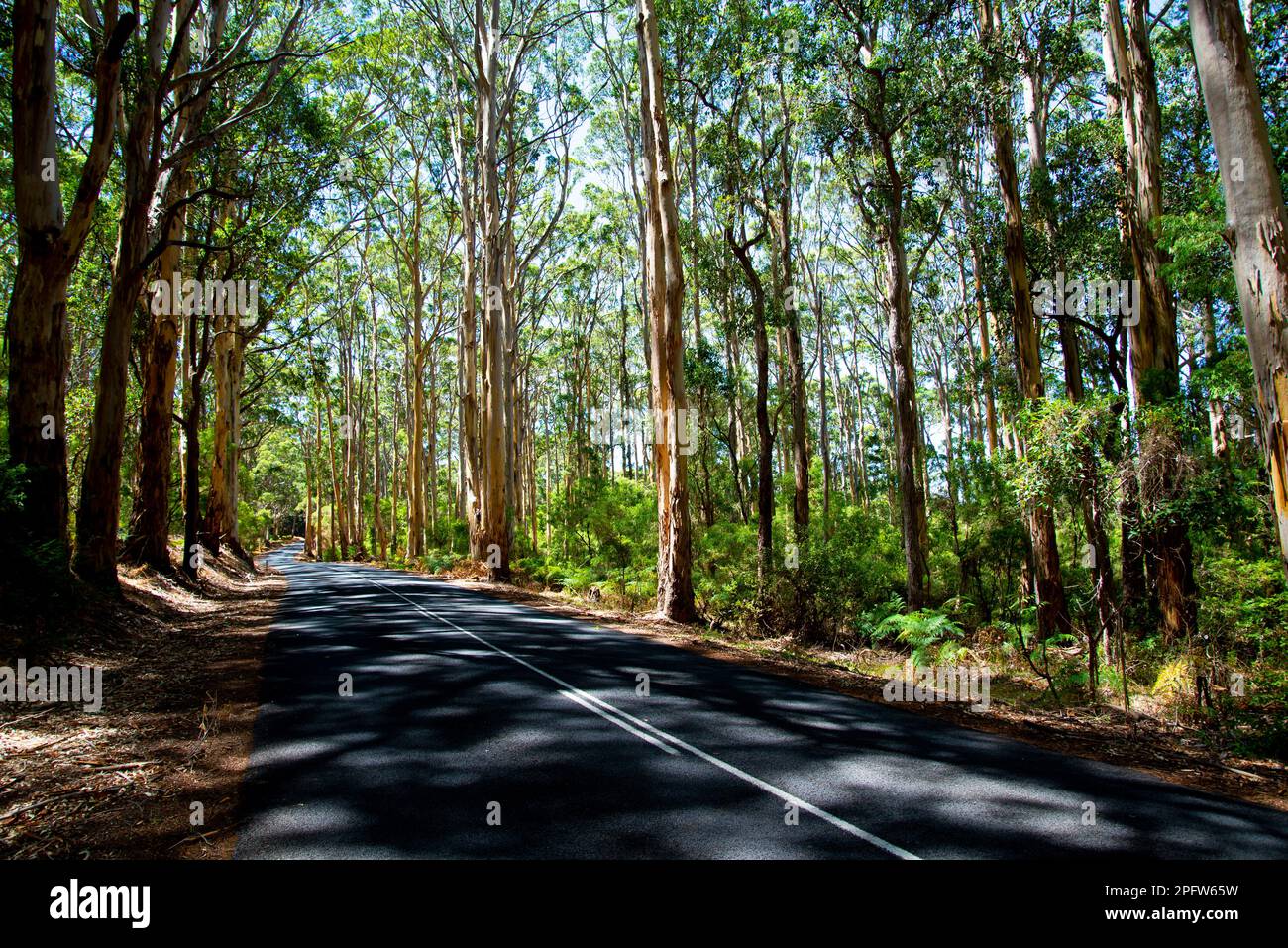 Caves Road Margaret River Western Australia Stock Photo Alamy