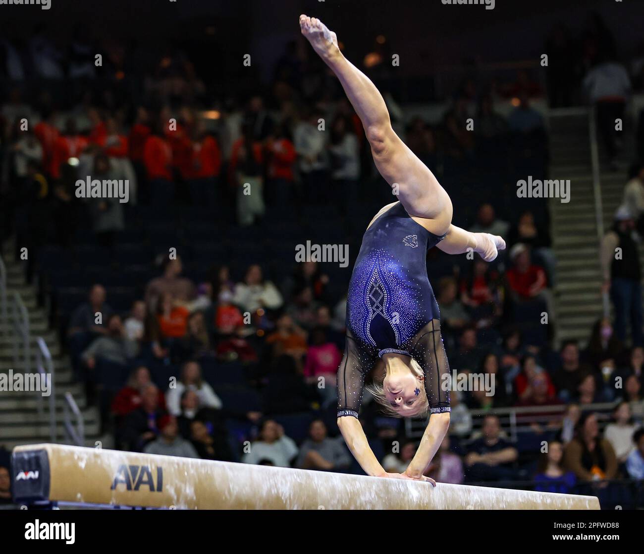 March 18, 2023 Kentucky's Jill Procasky competes on the balance beam