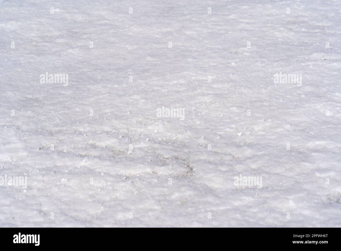 Closeup of the surface of the Bonneville Salt Flats Stock Photo Alamy