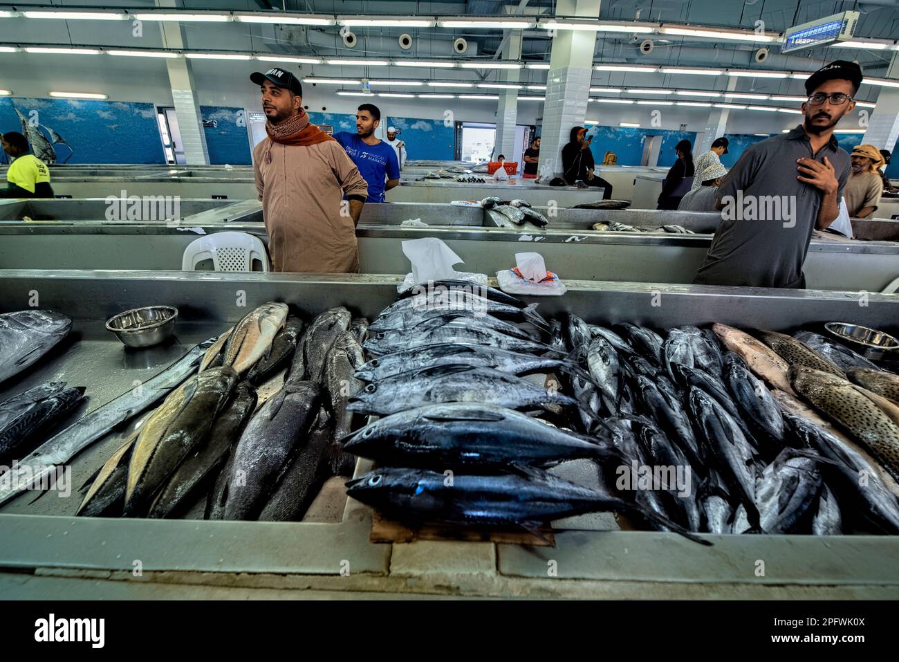 Scenes from the Fish Market, Mutrah Souq, Muscat, Oman Stock Photo Alamy
