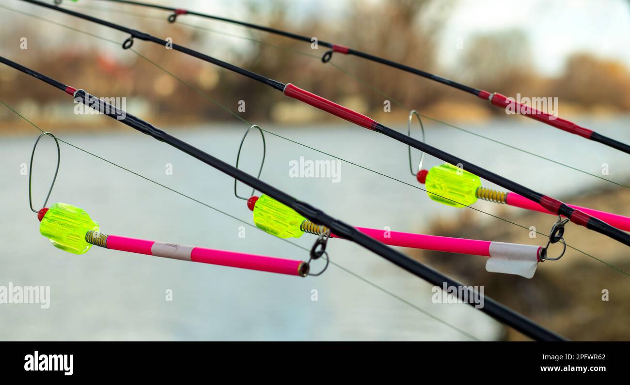 The bite alarm hangs on a fishing rod against the background of water.  Fishing rod while fishing on the lake, river. Fishing tackle. Carp rod on a  sta Stock Photo - Alamy