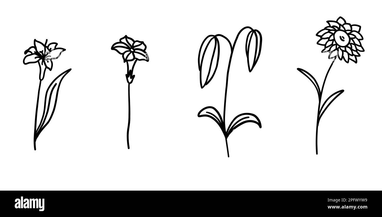 Flower in outline doodle flat style. Simple floral element plant leaves