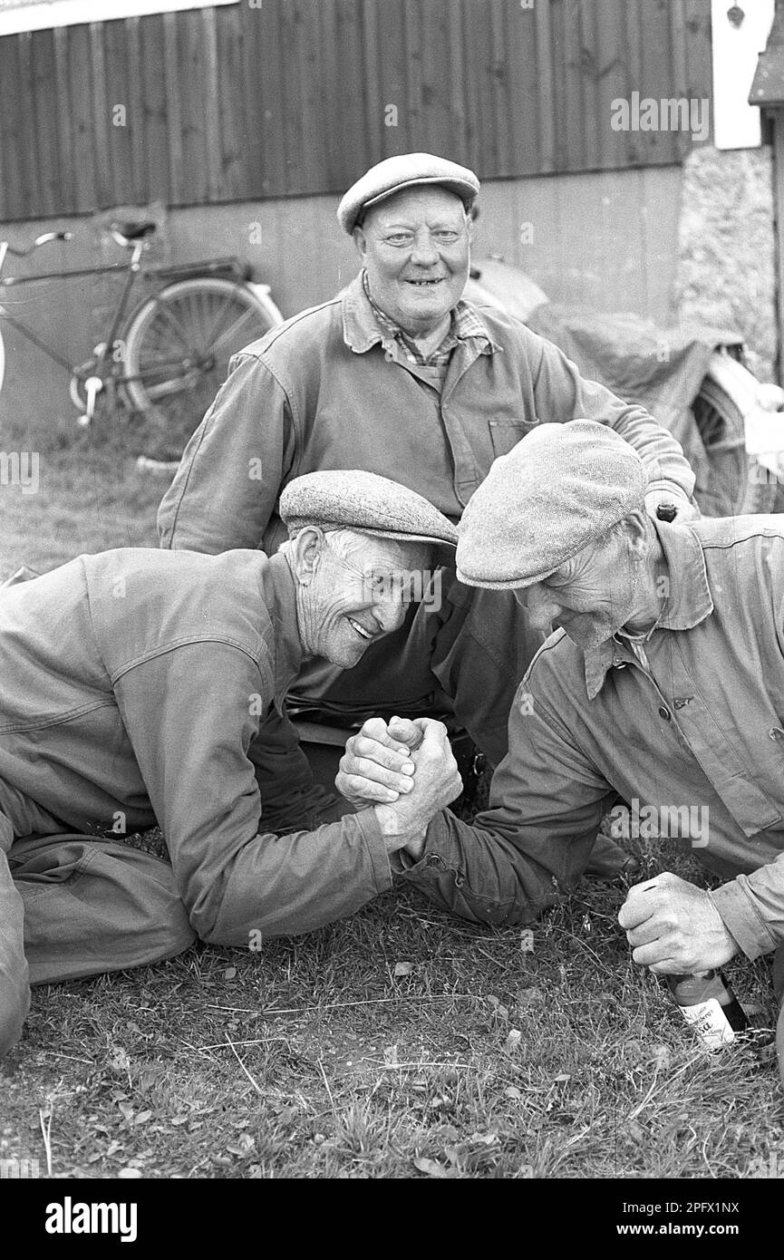 Who's the strongest? Two elderly men are having a armwrestling match and by the looks of it, they are equally strong. The man on the right is holding on to his beer bottle while battling. The men are workers at the local log-driving crew, sorting logs that float on the river to the sorting area. Sweden 1957 Conard ref BV56 Stock Photo