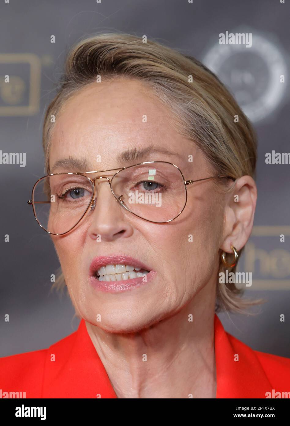 Hollywood California Sharon Stone Honor In Their Words