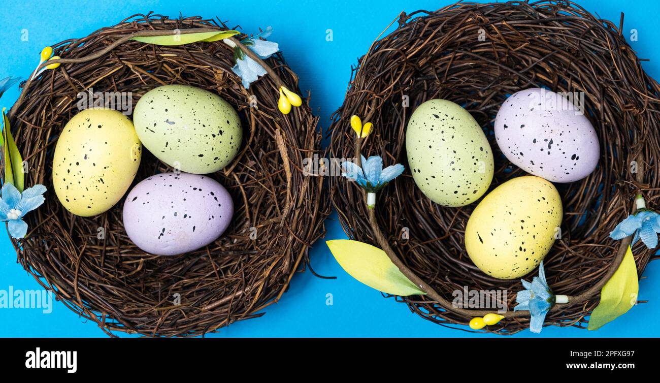 Easter eggs in wicker nest baskets on a blue background. Stock Photo