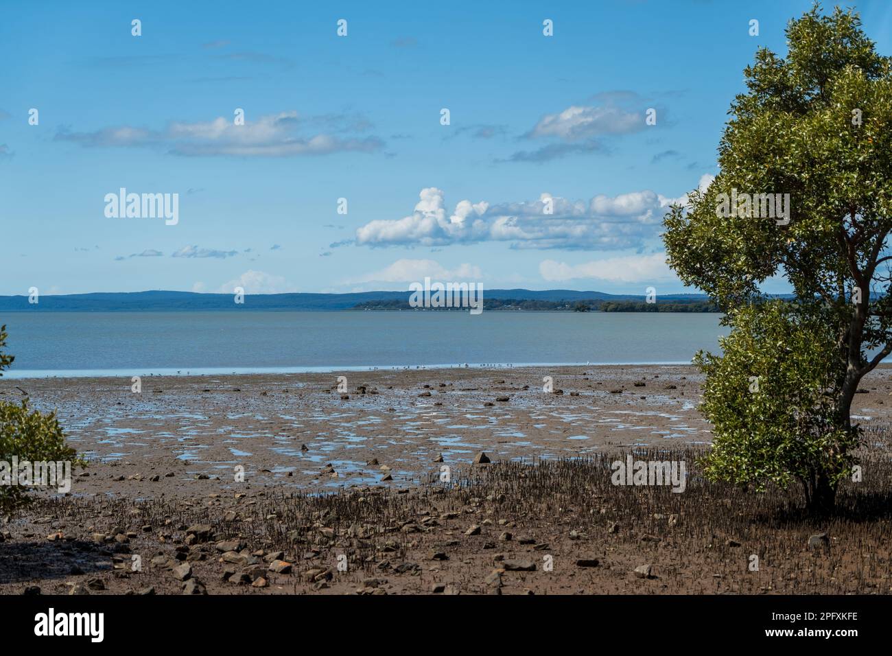View from the shore at Redland Bay across the water to Macleay and