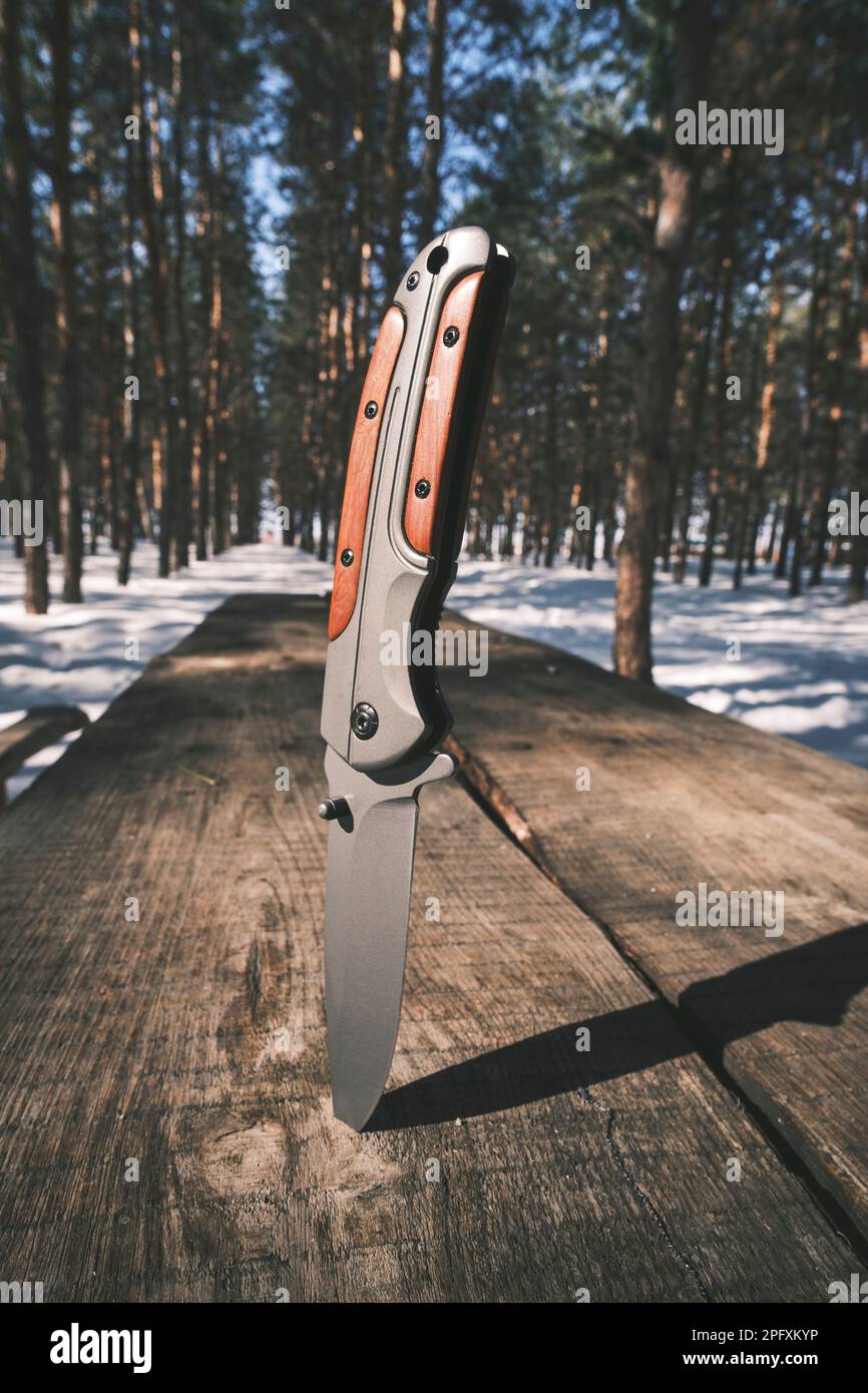 folding-knife-is-stuck-into-table-top-table-standing-in-winter-pine-forest-2PFXKYP.jpg