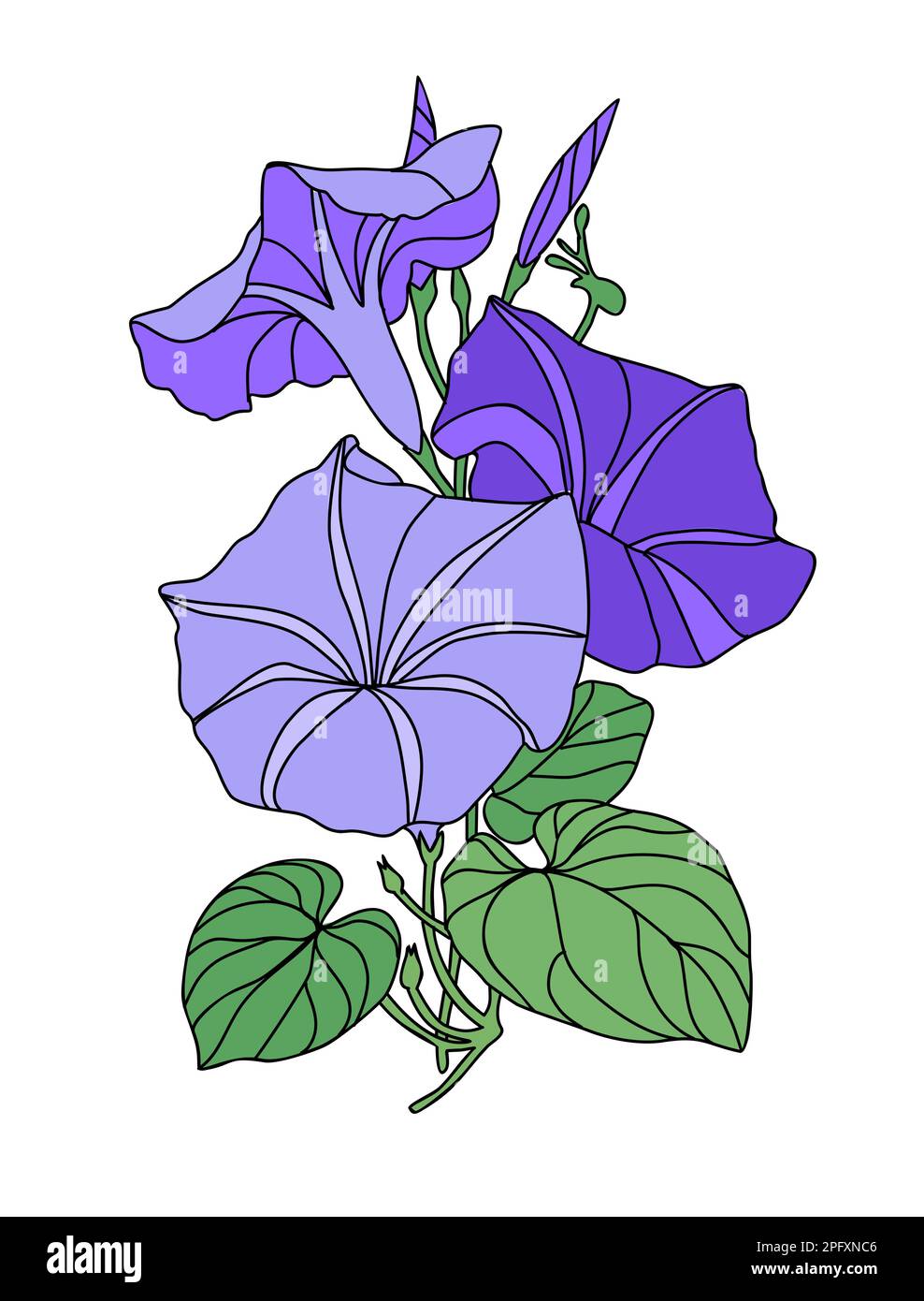 September Flower Clipart