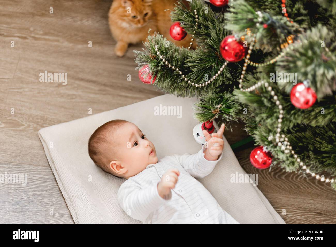 Cute baby and ginger cat lay under Christmas tree. Little child plays