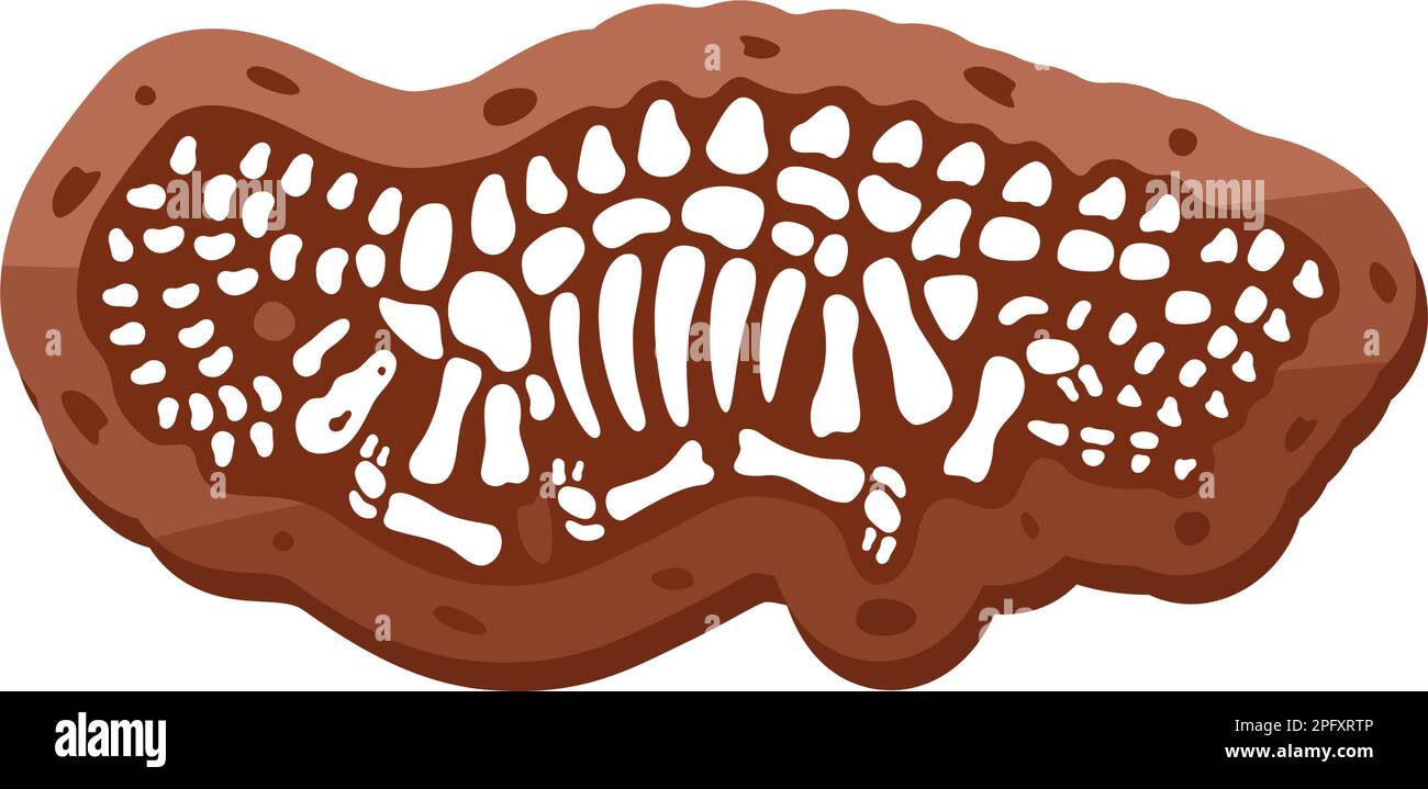 Brahiosaurus fossils skeleton. Brahiosaurus fossil bones. Dinosaur