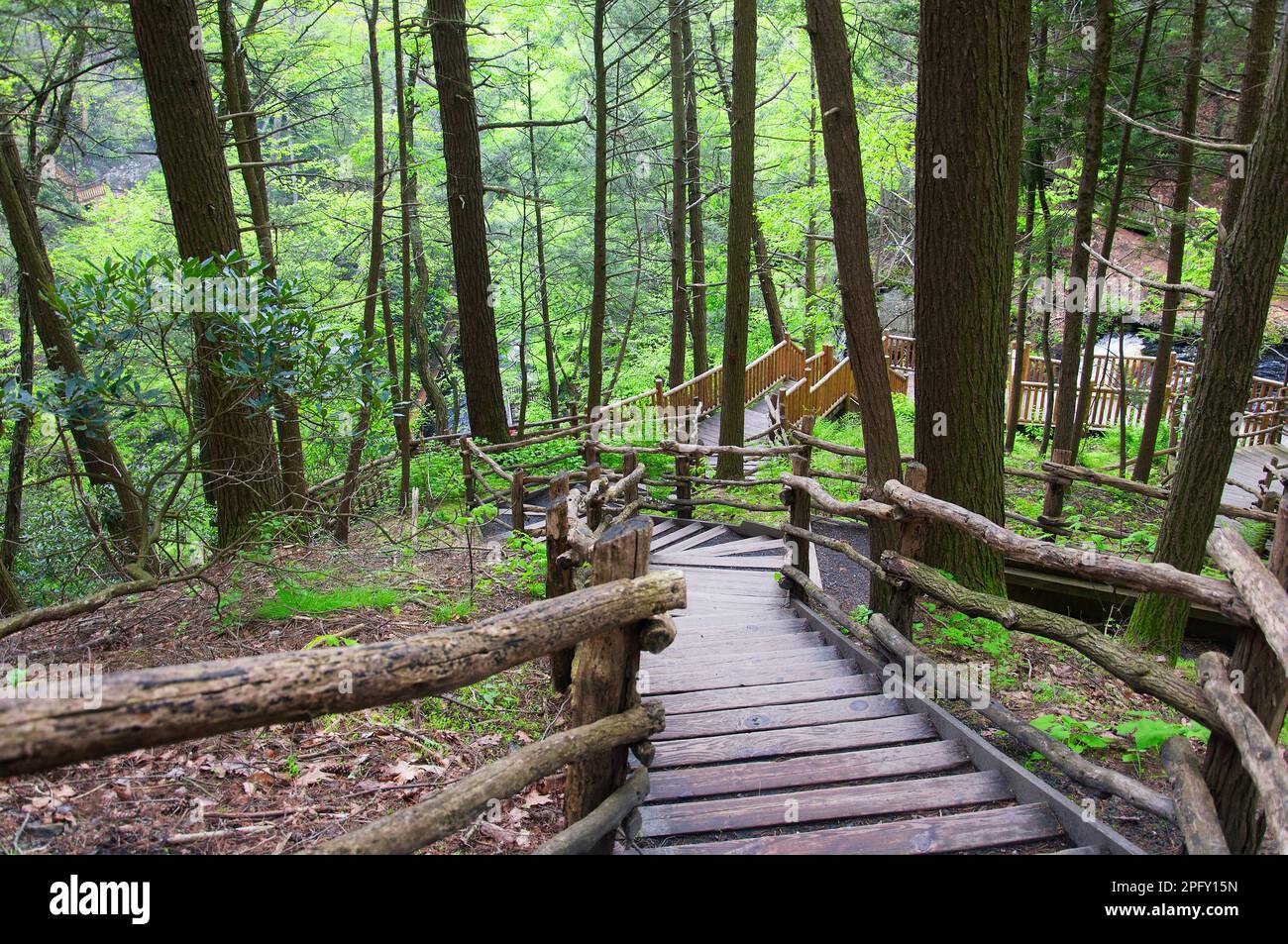 the wooden steps and boardwalk leading down to bushkill falls within ...