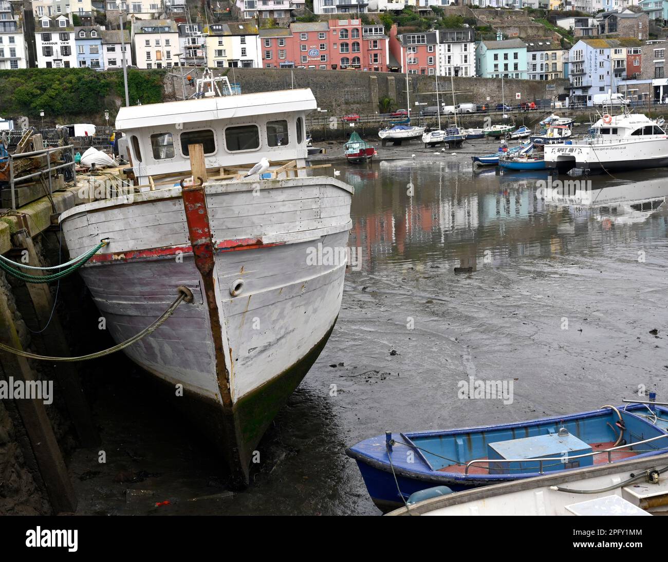 Fishing boats in Brixham Harbour, Brixham, Devon, England, UK. Stock Photo