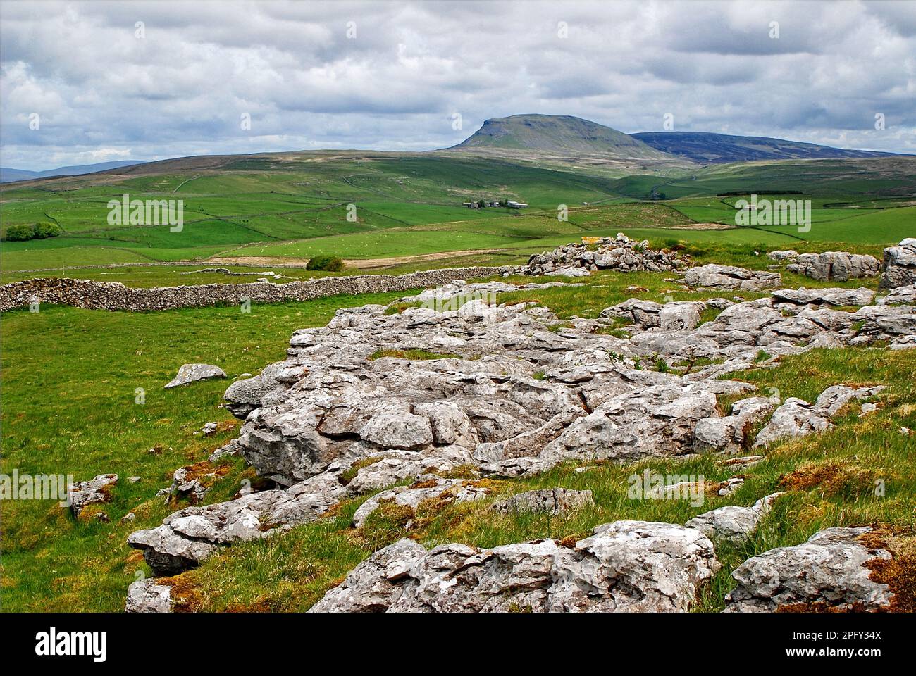 A distant Pen-y-Ghent set in beautiful limestone scenery in North Yorkshire. Stock Photo