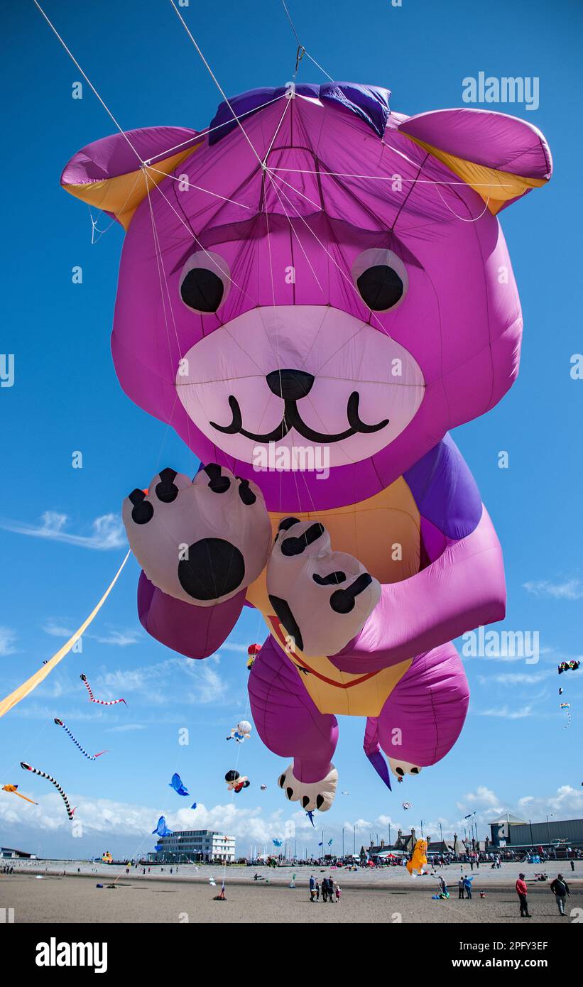 Huge kites on display at the Morecambe Kite Festival Stock Photo Alamy