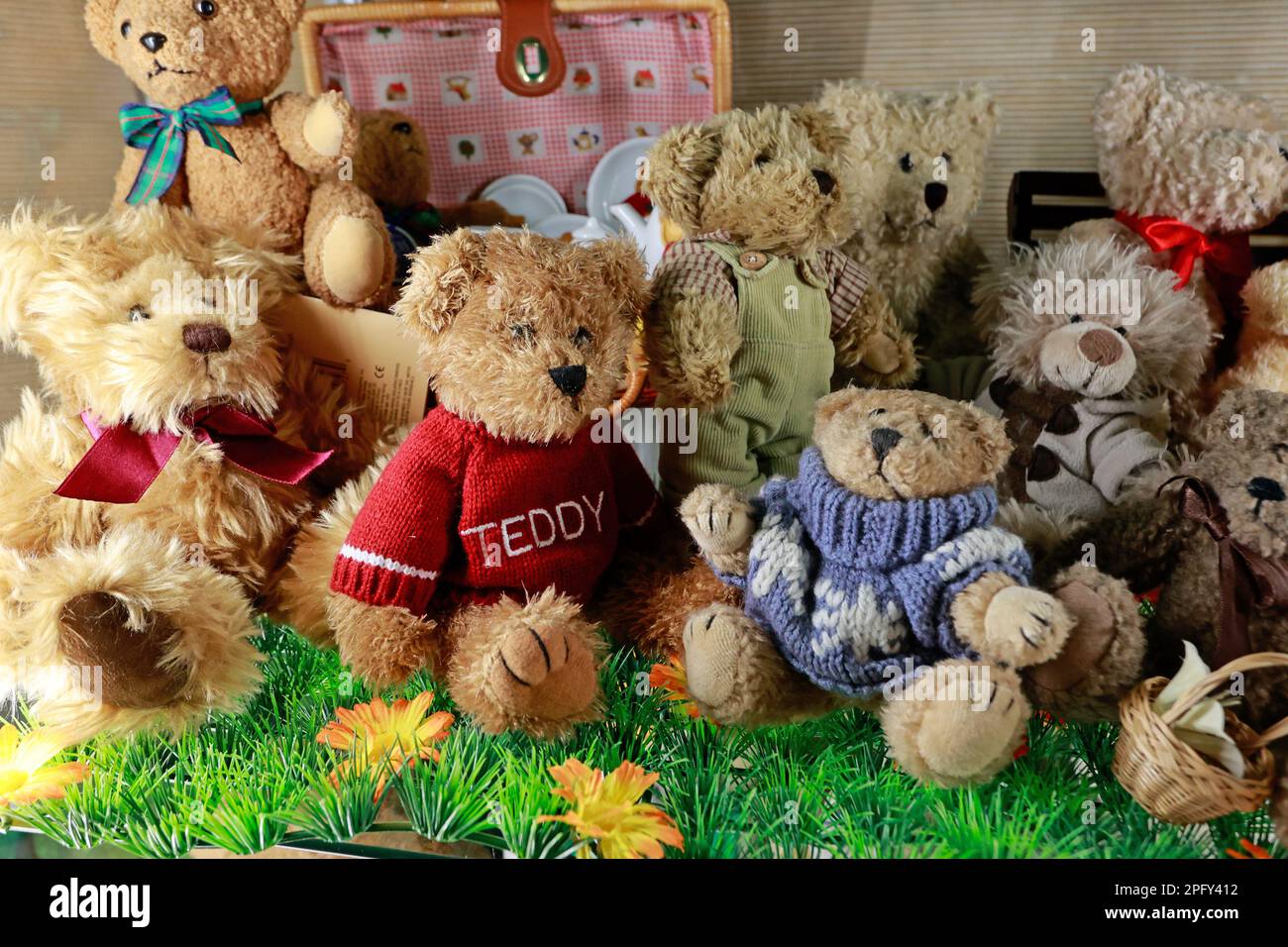 Nienhagen, Germany. 19th Mar, 2023. More than 1000 teddy bears are