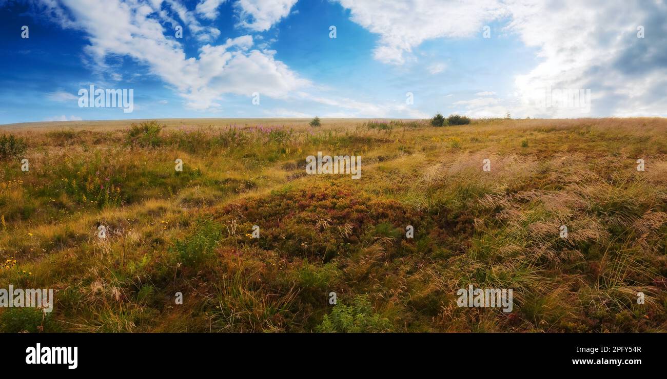 countryside scenery with meadow in mountains. weathered grass on the hills Stock Photo
