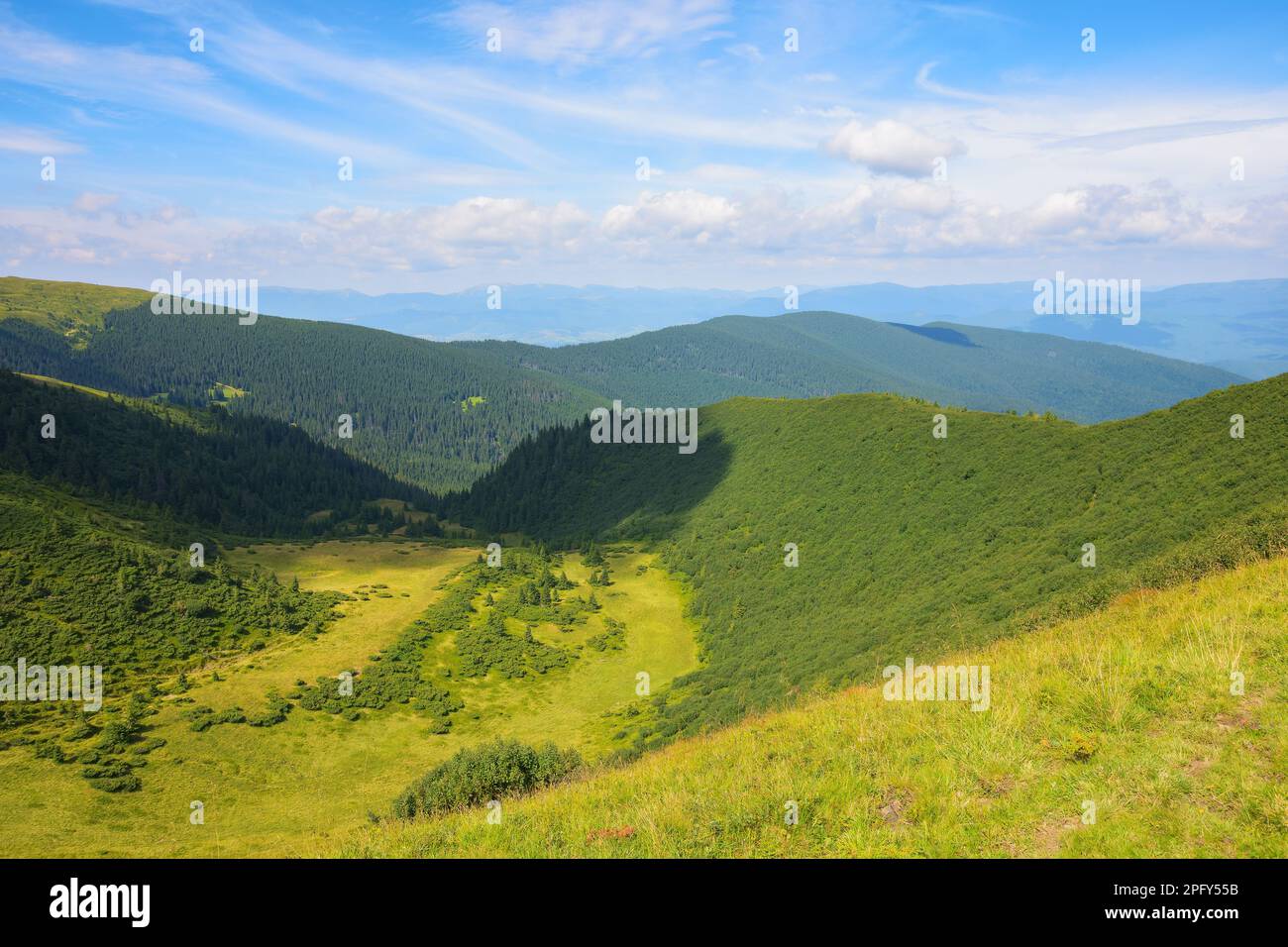 countryside mountain landscape. mountains of chornohora ridge. sunny morning in summer Stock Photo