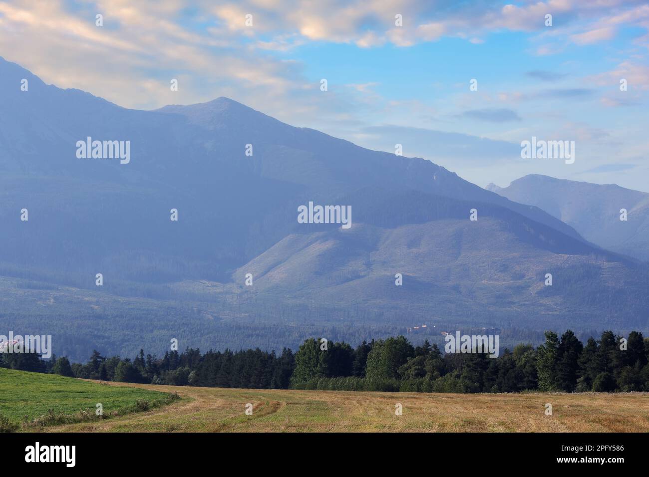 view of rural tatra valley landscape. peaceful countryside scenery of slovakia in summer Stock Photo