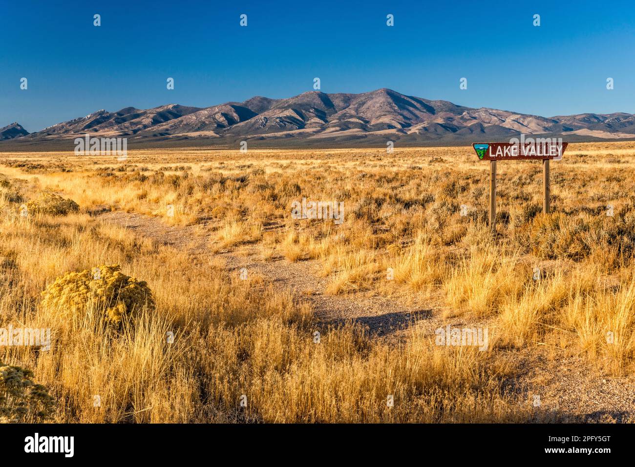 Schell Creek Range, rabbitbush, Indian ricegrass, name sign, view from Great Basin Highway (US 93), Lake Valley, Great Basin, Nevada, USA Stock Photo