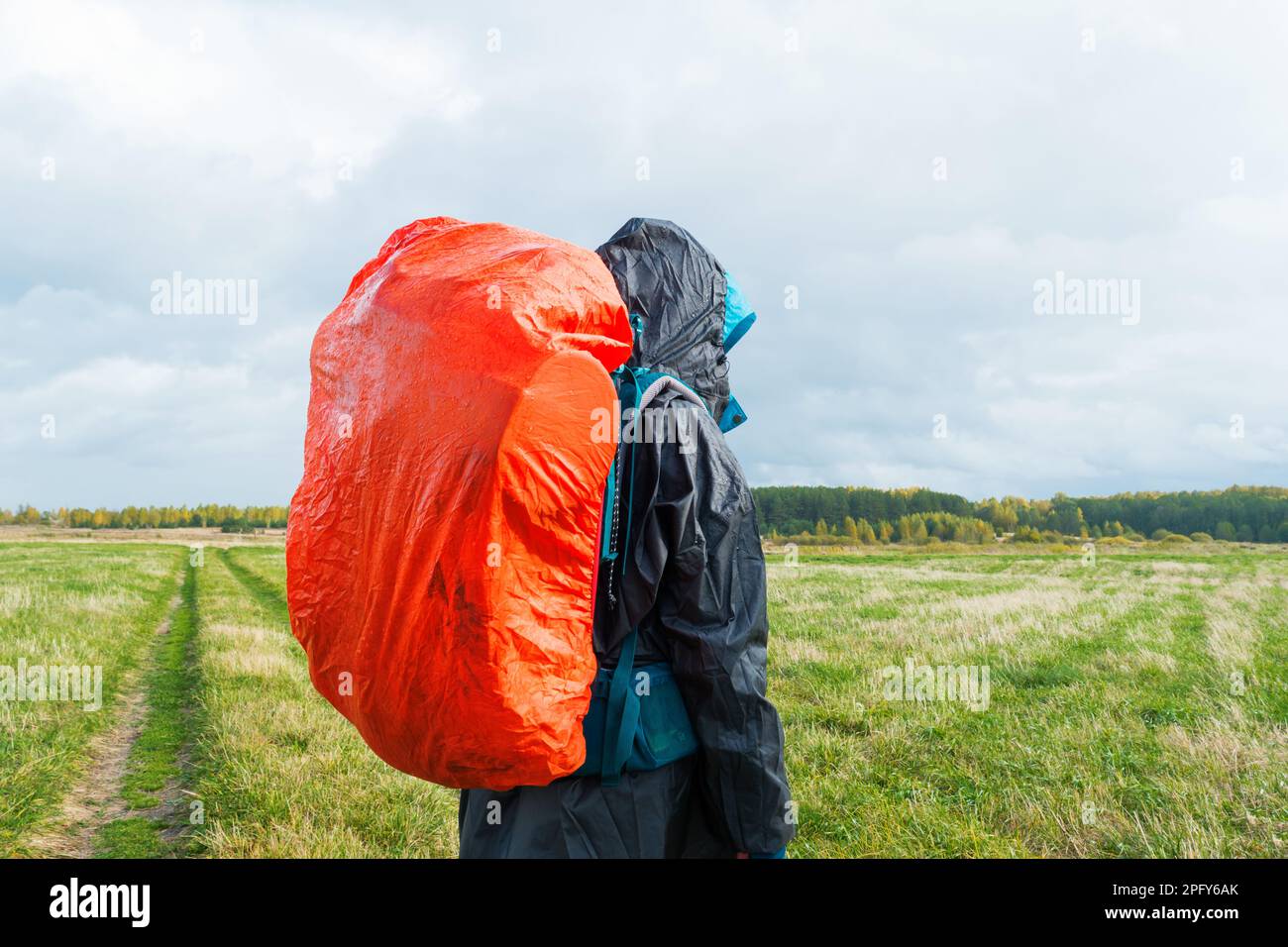 Backpacker on green field. Man hiking with bright red backpack. Autumn rural landscape. Stock Photo