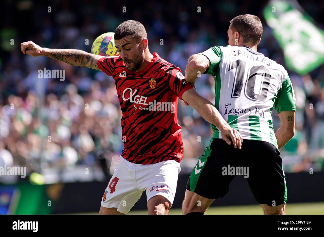 Spanish La Liga soccer match Betis vs Mallorca at Benito Villamarin ...