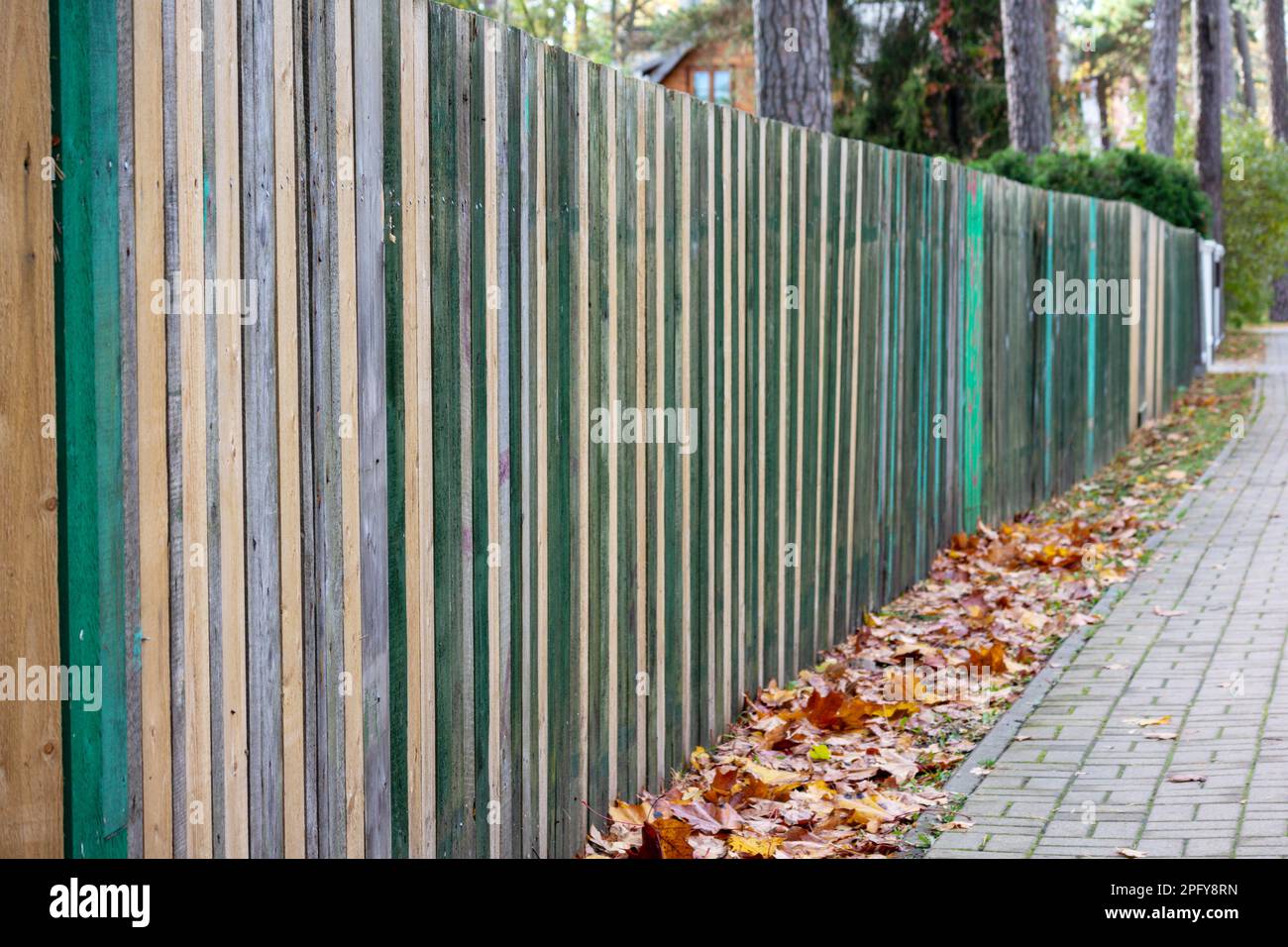 Fence of different colored wooden planks with autumn colored leaves and gray pedestrian pavement going to perspective view Stock Photo