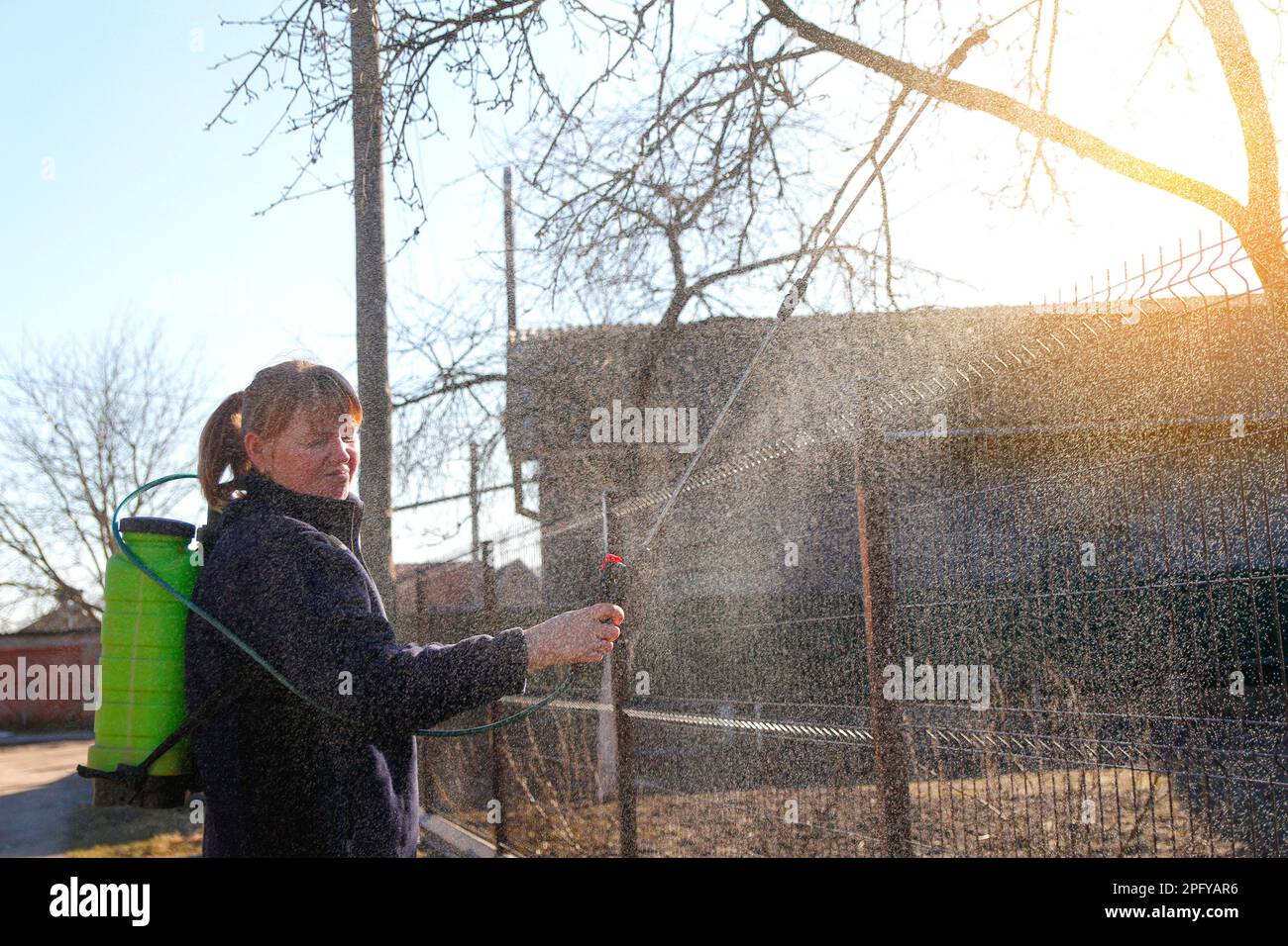 Fumigating pesti, pest control. Farmer woman spraying tree with manual pesticide sprayer against insects in spring garden. Agriculture and gardening. Stock Photo