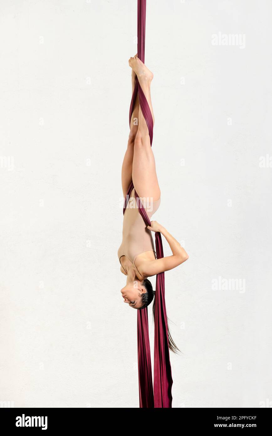 Full body of sportive female aerialist in activewear performing gecko trick on aerial silks during training on white background in light studio Stock Photo