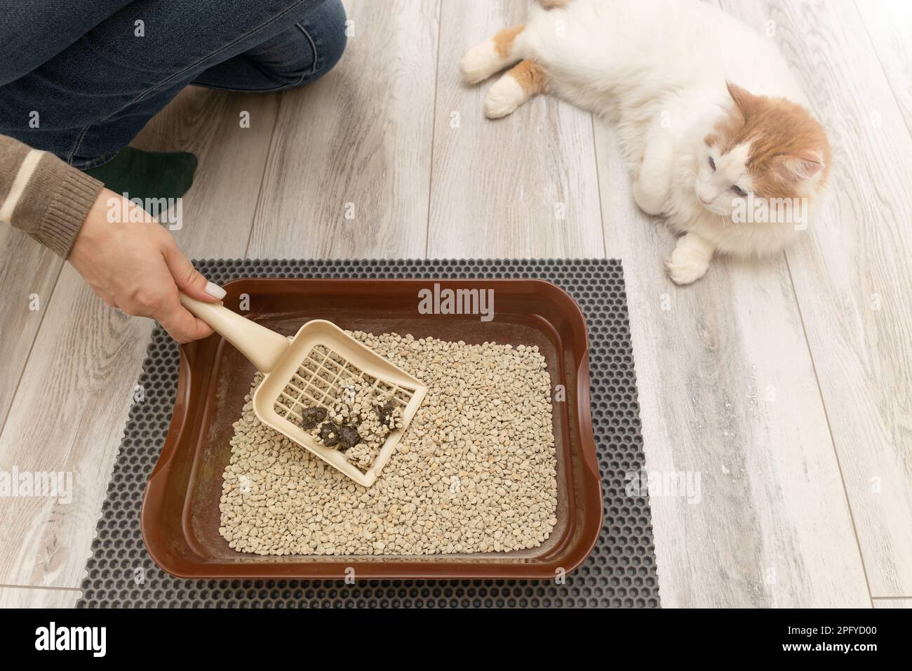 Human hot sale litter box