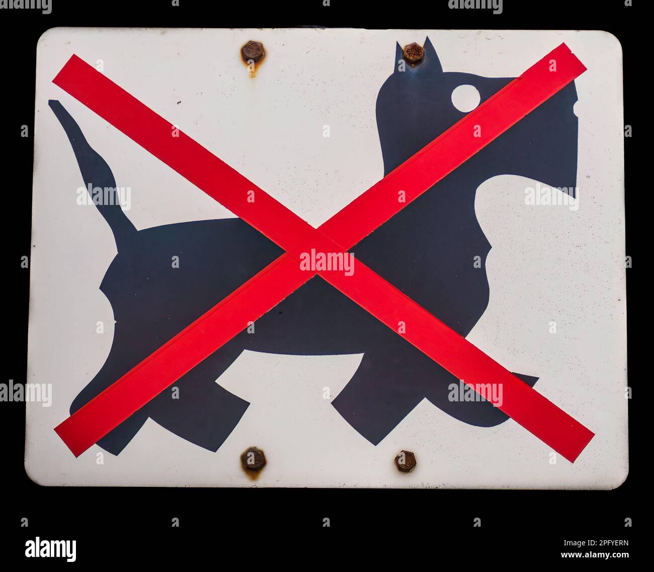 sign says no dogs allowed, little dog is looking at it right in front Stock Photo