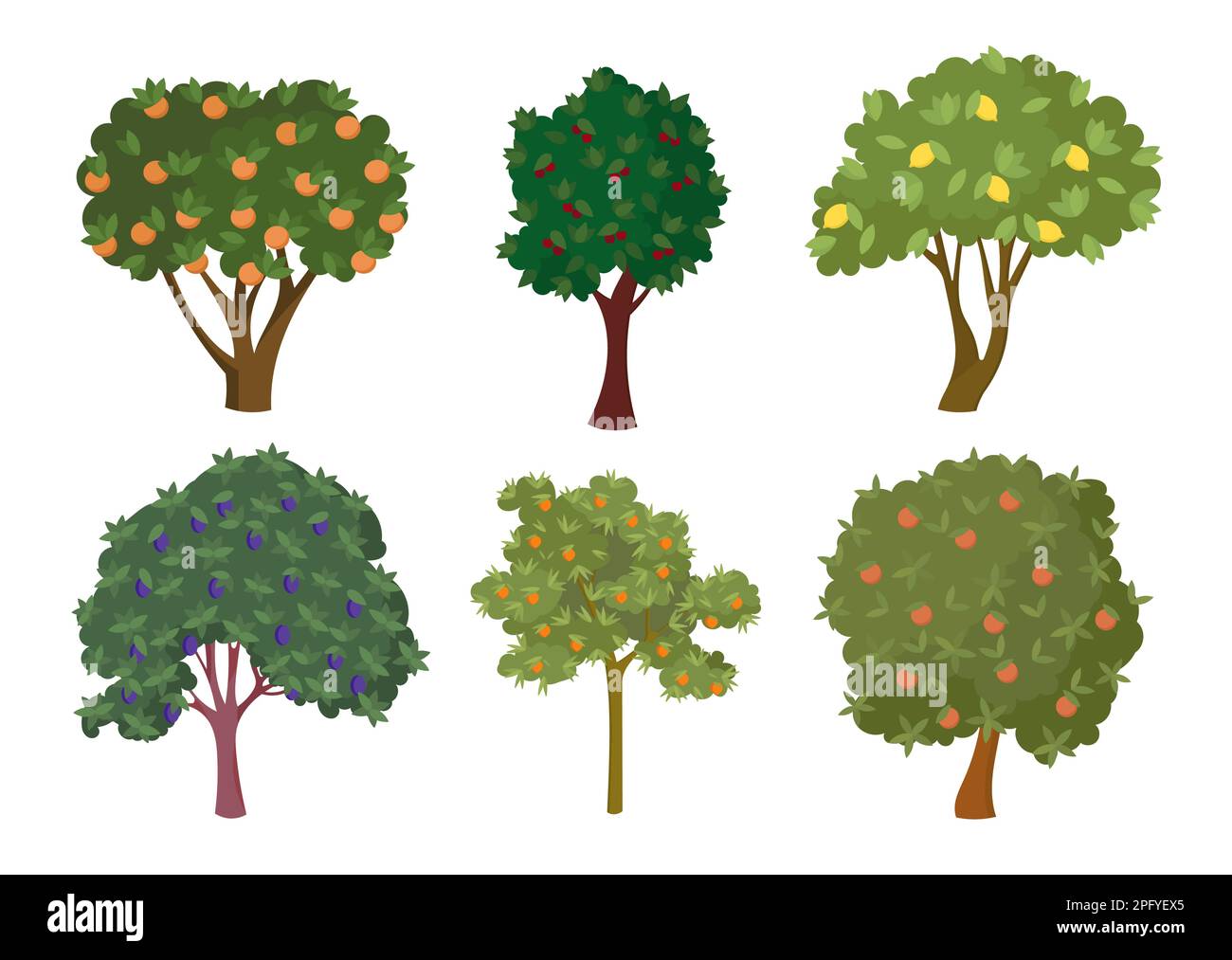 Tangerine trees Stock Vector Images Alamy