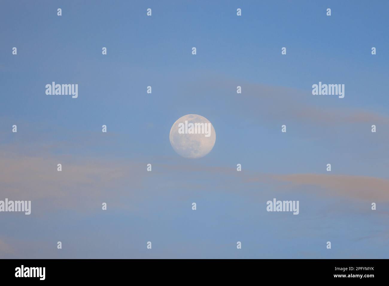 Pink clouds drift through blue sky with near-full moon after sunset Stock Photo