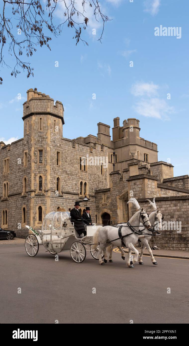 Windsor, Berkshire, England, UK. 2023. See through glass coach being drawn by two trotting white horses Stock Photo