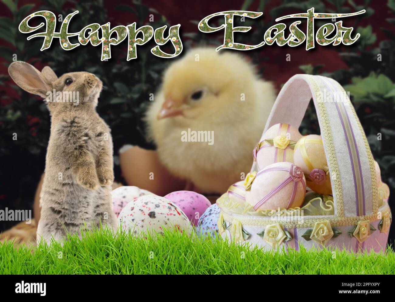 Easter card - A cute chick together with a cute rabbit In an idyllic sunny garden with decorated Easter eggs Stock Photo