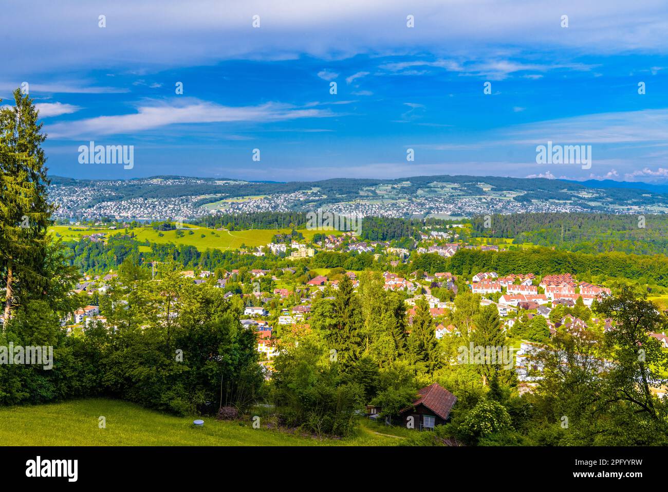 Houses and forests with meadows in Langnau am Albis, Zurich