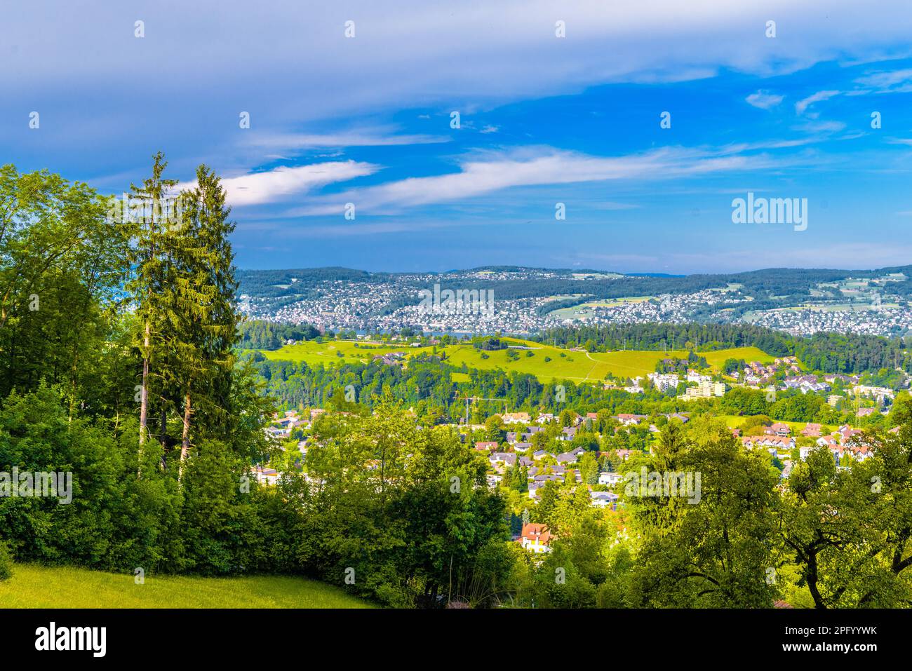 Houses and forests with meadows in Langnau am Albis, Zurich