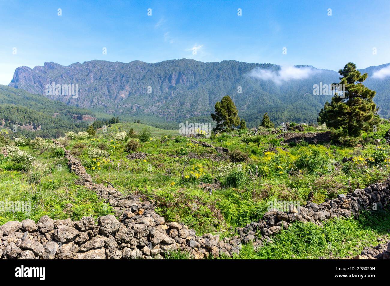 Parque Nacional de la Caldera de Taburiente (Caldera de Taburiente National Park), Ciudad de El Paso, La Palma, Canary Islands, Spain Stock Photo