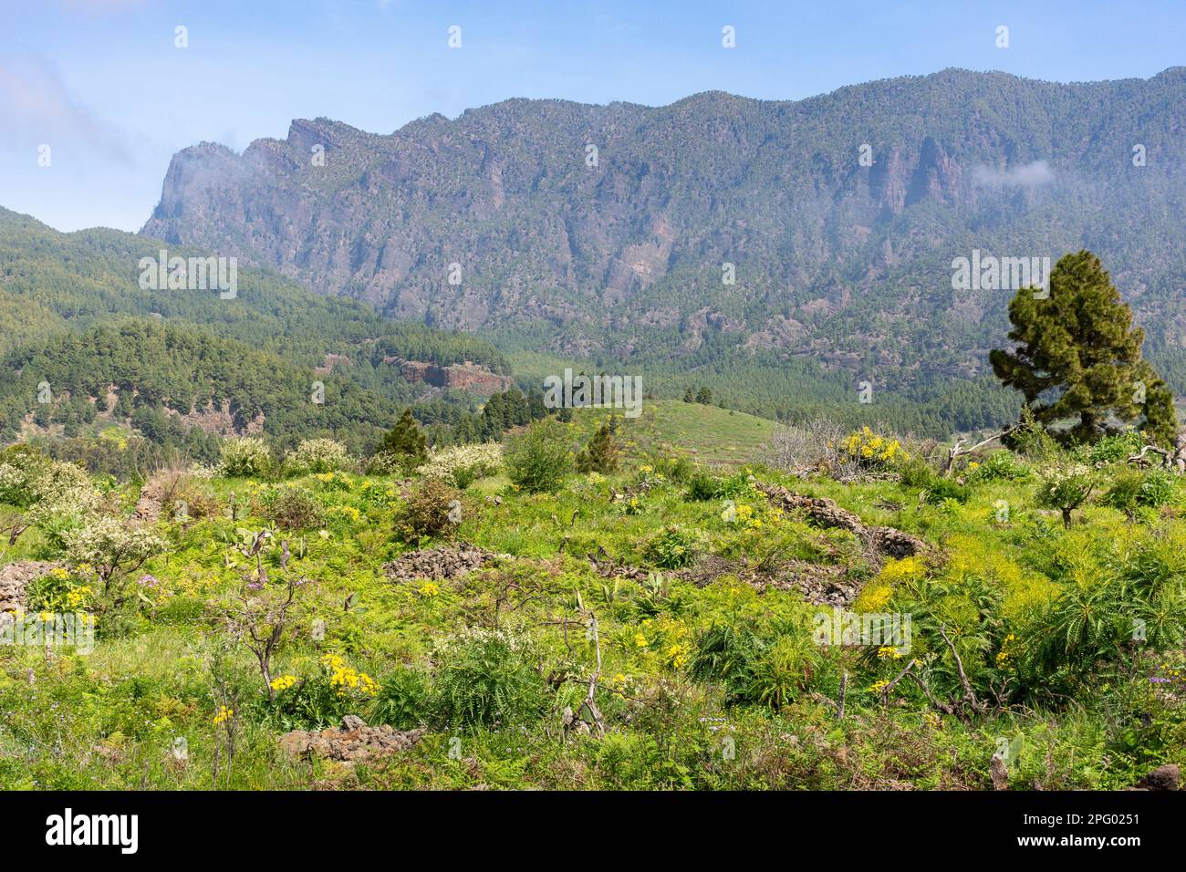 Parque Nacional de la Caldera de Taburiente (Caldera de Taburiente National Park), Ciudad de El Paso, La Palma, Canary Islands, Spain Stock Photo