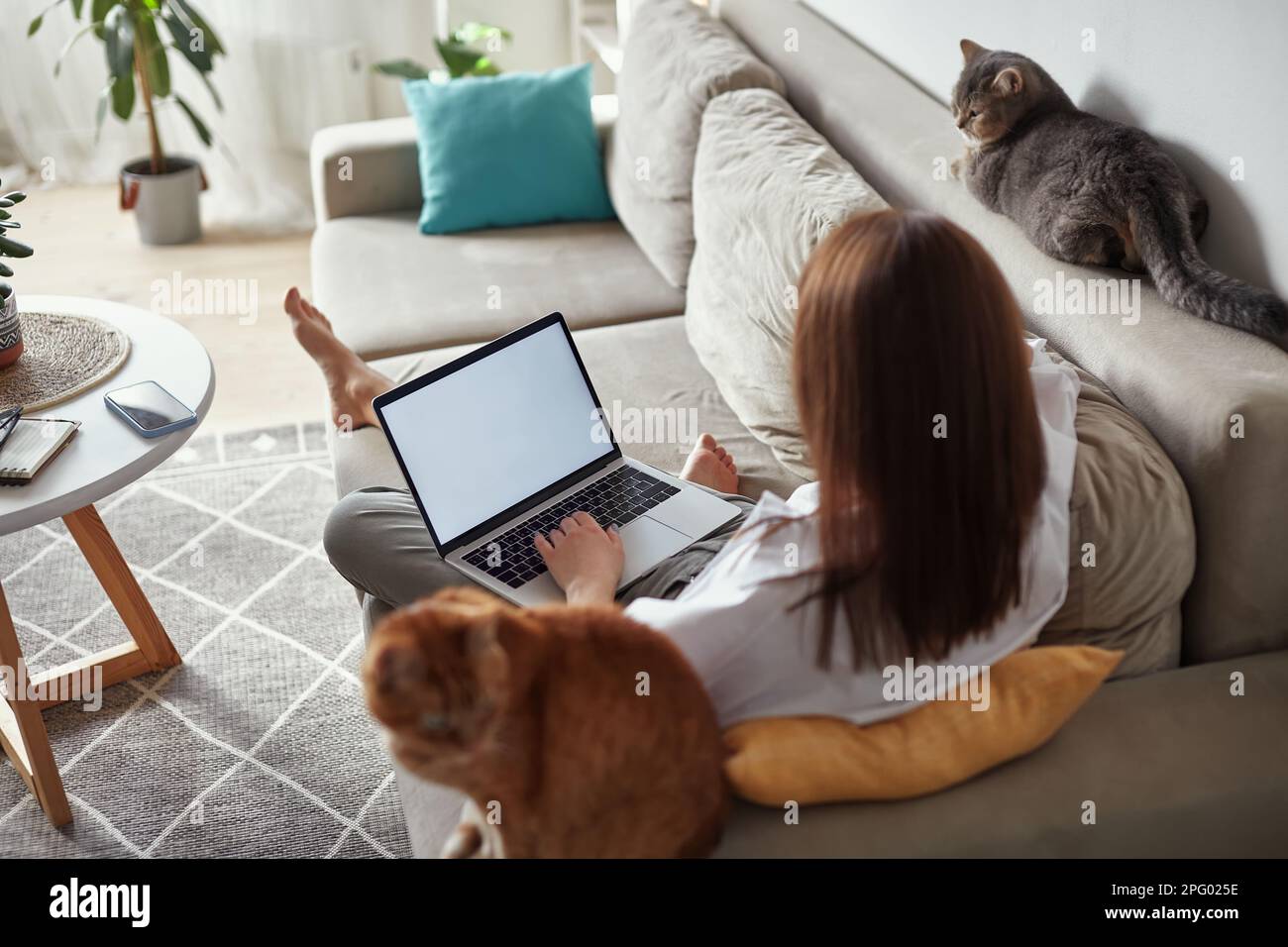 Mockup white screen laptop woman using computer and two pet cat lying ...